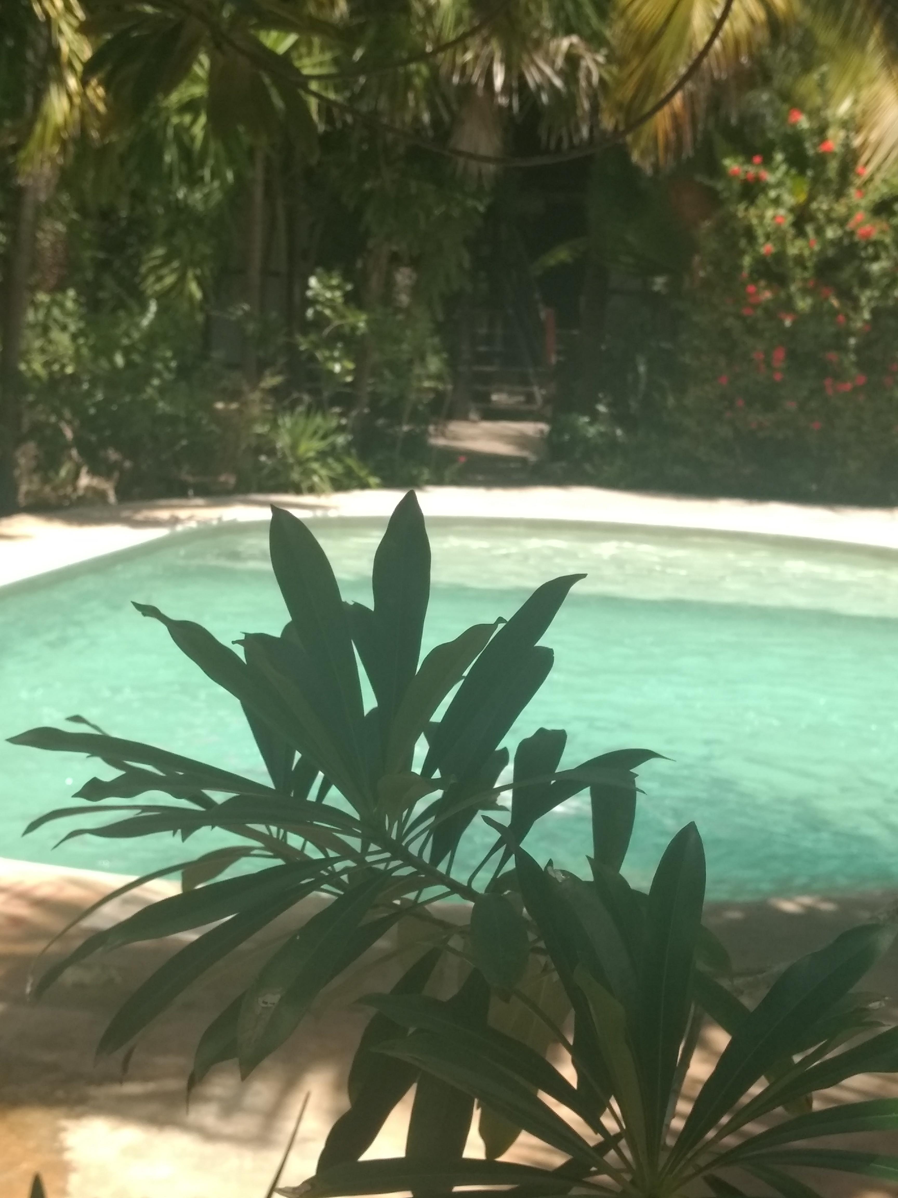 Green Tulum Cabanas & Gardens Ngoại thất bức ảnh