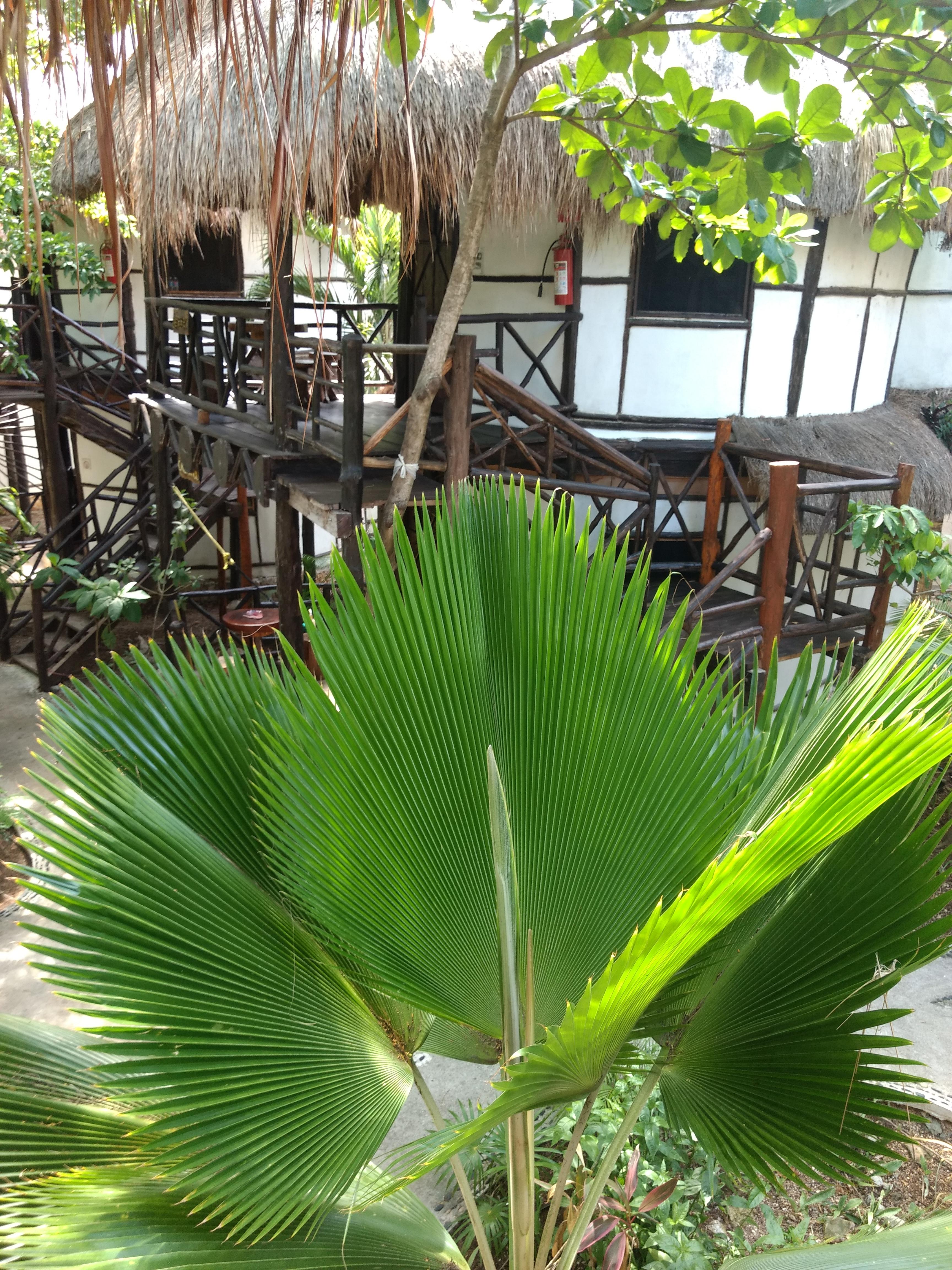 Green Tulum Cabanas & Gardens Ngoại thất bức ảnh